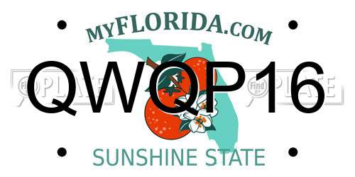 QWQP16 Florida License Plate