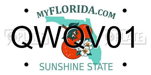 QWQV01 Florida License Plate