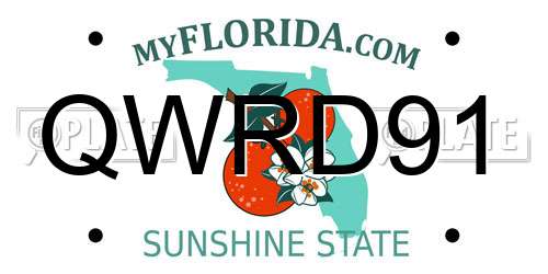 QWRD91 Florida License Plate