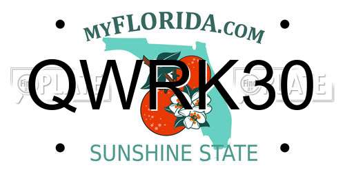 QWRK30 Florida License Plate