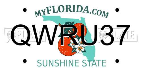 QWRU37 Florida License Plate
