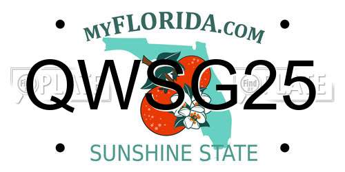 QWSG25 Florida License Plate