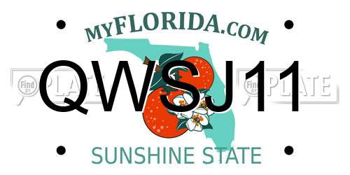 QWSJ11 Florida License Plate