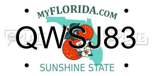 QWSJ83 Florida License Plate