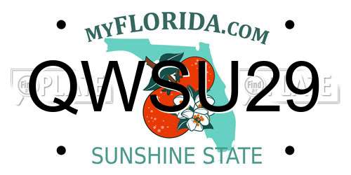 QWSU29 Florida License Plate
