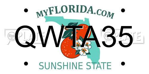 QWTA35 Florida License Plate