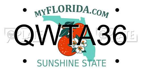 QWTA36 Florida License Plate