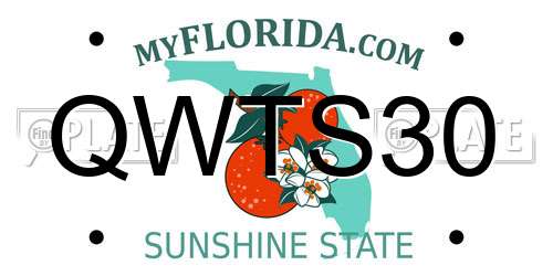 QWTS30 Florida License Plate