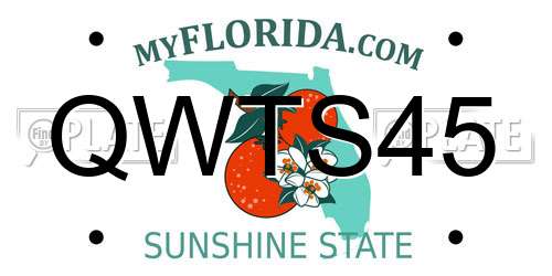 QWTS45 Florida License Plate