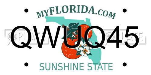 QWUQ45 Florida License Plate