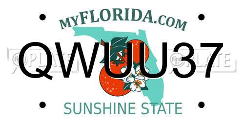QWUU37 Florida License Plate