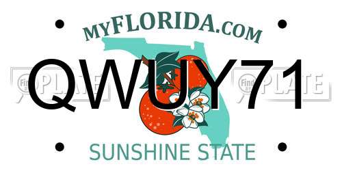 QWUY71 Florida License Plate