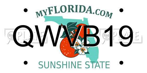 QWVB19 Florida License Plate