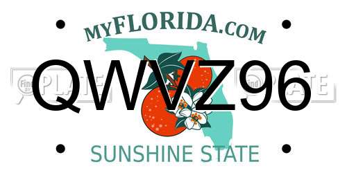 QWVZ96 Florida License Plate