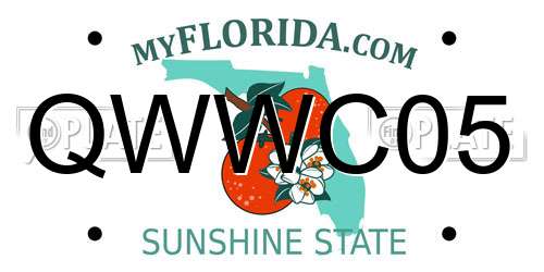 QWWC05 Florida License Plate