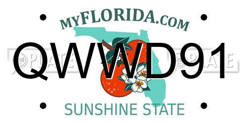 QWWD91 Florida License Plate