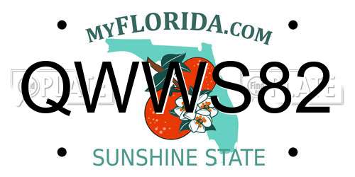 QWWS82 Florida License Plate
