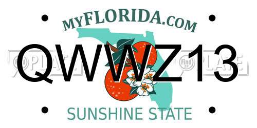 QWWZ13 Florida License Plate