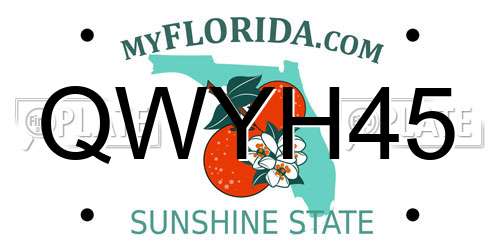 QWYH45 Florida License Plate