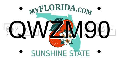 QWZM90 Florida License Plate