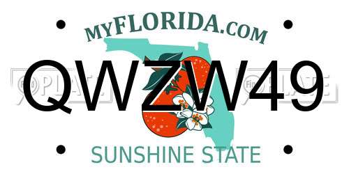 QWZW49 Florida License Plate