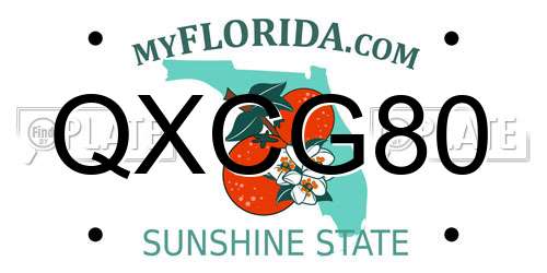 QXCG80 Florida License Plate