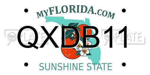 QXDB11 Florida License Plate
