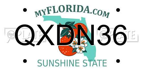 QXDN36 Florida License Plate
