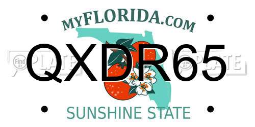 QXDR65 Florida License Plate