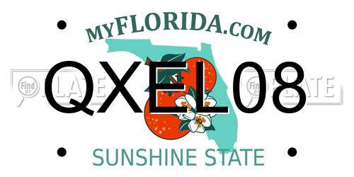 QXEL08 Florida License Plate