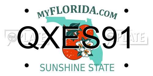 QXES91 Florida License Plate