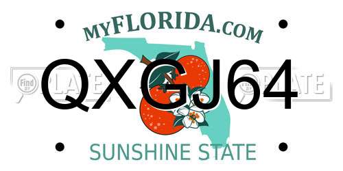 QXGJ64 Florida License Plate