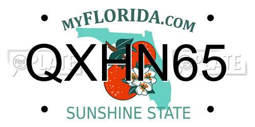 QXHN65 Florida License Plate