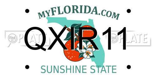 QXIR11 Florida License Plate
