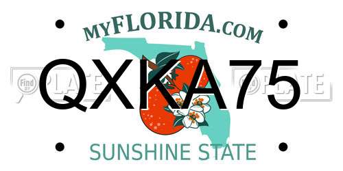 QXKA75 Florida License Plate