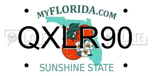 QXLR90 Florida License Plate