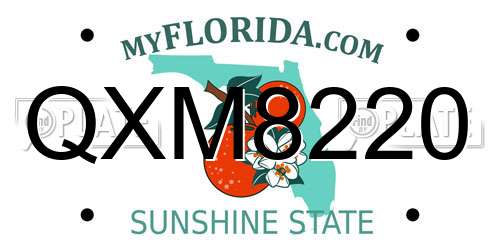 QXM8220 Florida License Plate