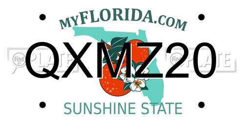QXMZ20 Florida License Plate