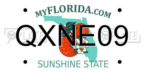 QXNE09 Florida License Plate