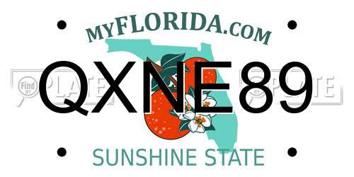 QXNE89 Florida License Plate