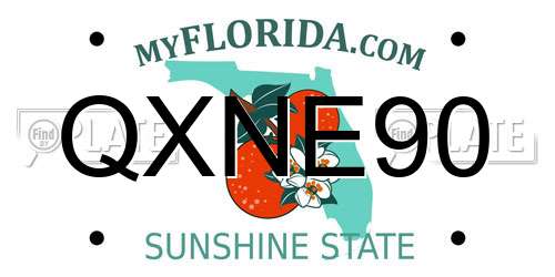 QXNE90 Florida License Plate