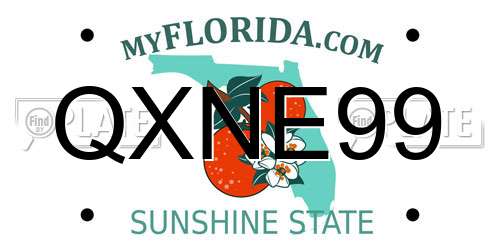 QXNE99 Florida License Plate