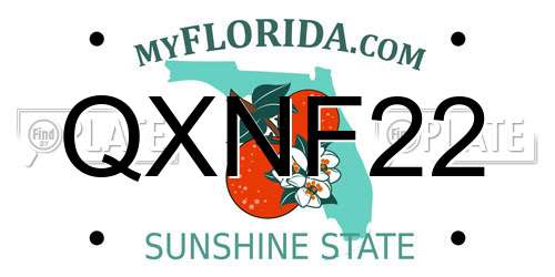 QXNF22 Florida License Plate