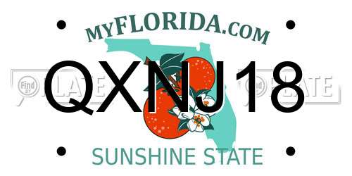 QXNJ18 Florida License Plate