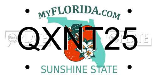 QXNT25 Florida License Plate
