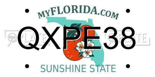 QXPE38 Florida License Plate