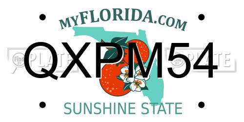 QXPM54 Florida License Plate