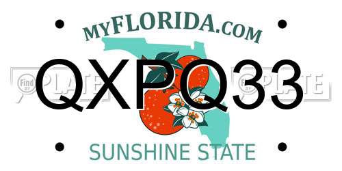 QXPQ33 Florida License Plate