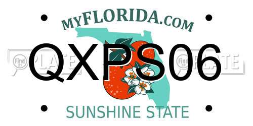 QXPS06 Florida License Plate