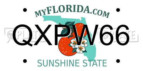 QXPW66 Florida License Plate